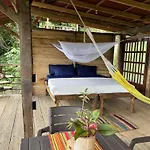 Casinha Da Floresta